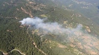 İzmirde ormanlık alanda yangın