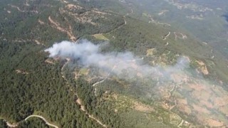 İzmirde ormanlık alanda yangın kontrol altında