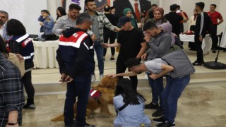 Jandarmadan üniversite öğrencilerine tanıtım faaliyeti