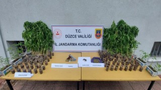 Jandarmadan uyuşturucu baskını