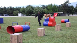 Jandarmanın eğitimli köpeklerinin gösterisi alkış topladı