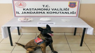 Jandarmanın uyuşturucu köpeği Valör buldu, yolcu otobüsündeki valizden 2 kilogram metamfetamin çıktı