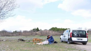 Kahramankazan Belediyesi can dostlarının mama ve sularını eksik etmiyor