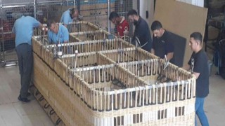 Kapadokyada üretilen ellinci balonda, Kapadokya semalarında uçacak