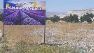 Kapadokyadan hoş koku ve sağlık yayılıyor