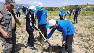 Kastamonu Üniversitesinde fidanlar toprakla buluşturuldu