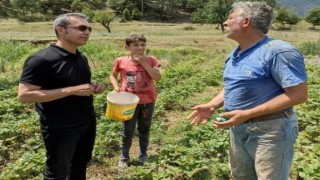 Kaymakam Çiçek, selden etkilenen köyde incelemelerde bulundu