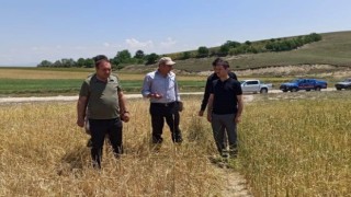 Kaymakam İrdelp, hasar tespit çalışmalarına katıldı