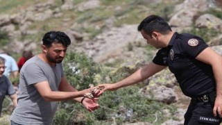 Kayseride şok olay: Şüphelinin itiraf ettiği vadide onlarca kemik bulundu