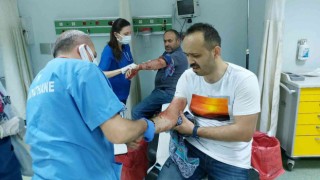Kendi köpeklerinin saldırısına uğrayan baba-oğul yaralandı