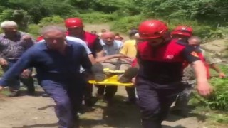 Kestiği ağacın altında mahsur kaldı