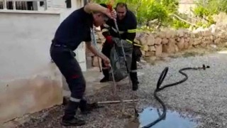 Kırıkkalede 2 metrelik yılan paniği