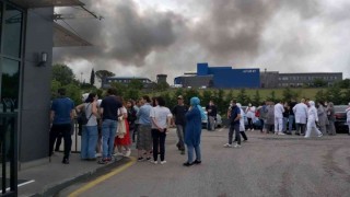 Kocaelide Kimya fabrikasında büyük yangın