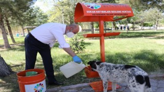Kocasinan Belediyesinin küçük dostlar çalışmalarına liseli öğrencilerinden destek