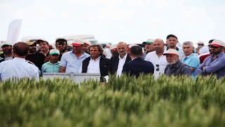 Konyada Tarla Gününde yeni hububat çeşitleri tanıtıldı