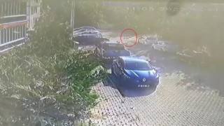 Köpeğe çarpıp yoluna devam etti, güvenlik kamerasına yakalandı