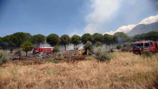 Köyceğizde orman yangını kısa sürede söndürüldü