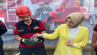 Küçük kediyi kurtarmak için büyük seferberlik