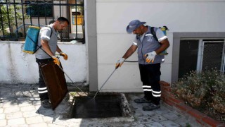 Kuşadasında haşere ve kara sineğe karşı etkin mücadele