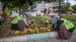 Kütahyada çiçek dikim çalışmaları