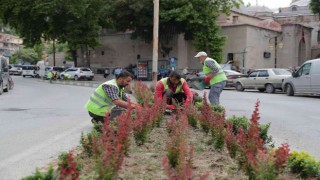Kütahyada çiçeksiz refüj kalmayacak