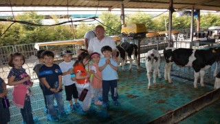 Kütahyalı minik öğrenciler, sütün önemini çiftlikte öğrendi