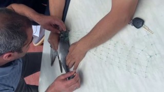 Mahsur kalan güvercini kurtarmak için seferber oldular