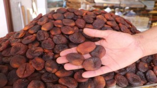 Malatyada kuru kayısıda tahmini rekolte 75 bin 776 ton