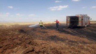 Mardinde 100 dönümlük buğday tarlası kül oldu