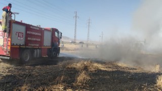 Mardinde buğday ekili arazide yangın, 55 dönüm kül oldu