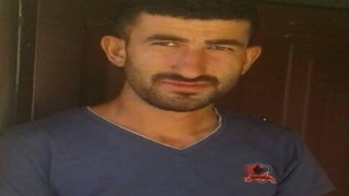 Mardinde yılanın soktuğu vatandaş hayatını kaybetti