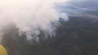 Marmaris yangınına 38 helikopter, 15 uçakla müdahale devam ediyor