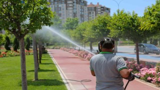 Meramda ilaçlama çalışmaları hız kazandı