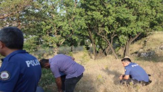 Mesire alanında kan donduran görüntü