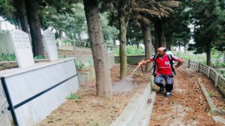 Mezarlıklarda bayram temizliği