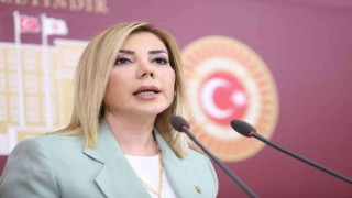 Milletvekili Gökcan: “Muğla sahipsiz değildir”