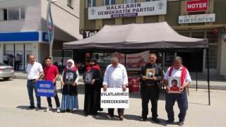 Muşta evlat nöbeti tutan anneler 60 haftadır çocuklarının yolunu gözlüyor