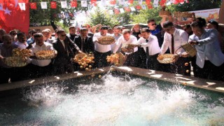 Mut Karacaoğlan Kayısı Festivali renkli anlara sahne oldu