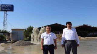 Nazilli Belediyesi, tarımsal üretim yelpazesini genişletiyor