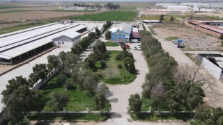 Nazillide kurban kesim fiyatları açıklandı