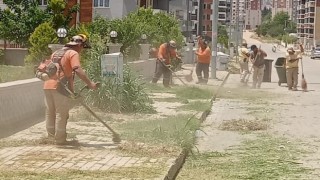 Nazillide temizlik seferberliği sürüyor