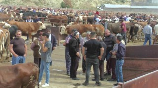 Nevşehirde kurbanlıklar görücüye çıktı