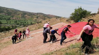 Öğrenciler Türk bayrağını boyadılar