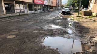 Oltuluların yol tepkisi