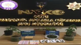 Orduda 3 torbacı tutuklandı