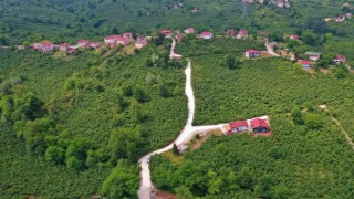 Orduda 42 mahallede beton yol çalışması tamamlandı