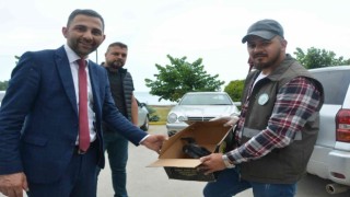Orduda kargalar sürü halinde vatandaşları kovaladı