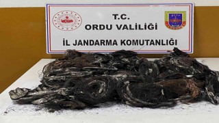 Orduda telefon kablosu hırsızları tutuklandı