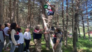 Ormanlara kuş yuvası asıldı