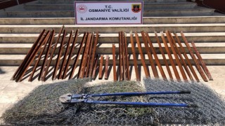 Osmaniyede bağ, bahçe ve tarladan hırsızlık yapan zanlı yakalandı